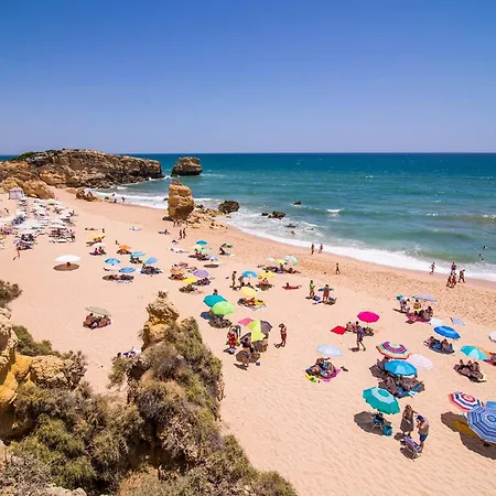 Oliveira By Vintage Travel Vila Guia (Faro)